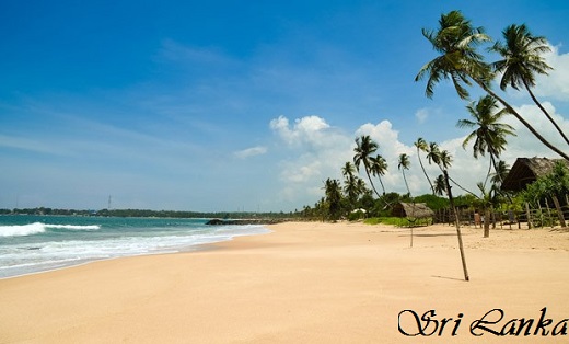 Gửi hàng hóa, chứng từ chuyển phát nhanh đi Sri Lanka